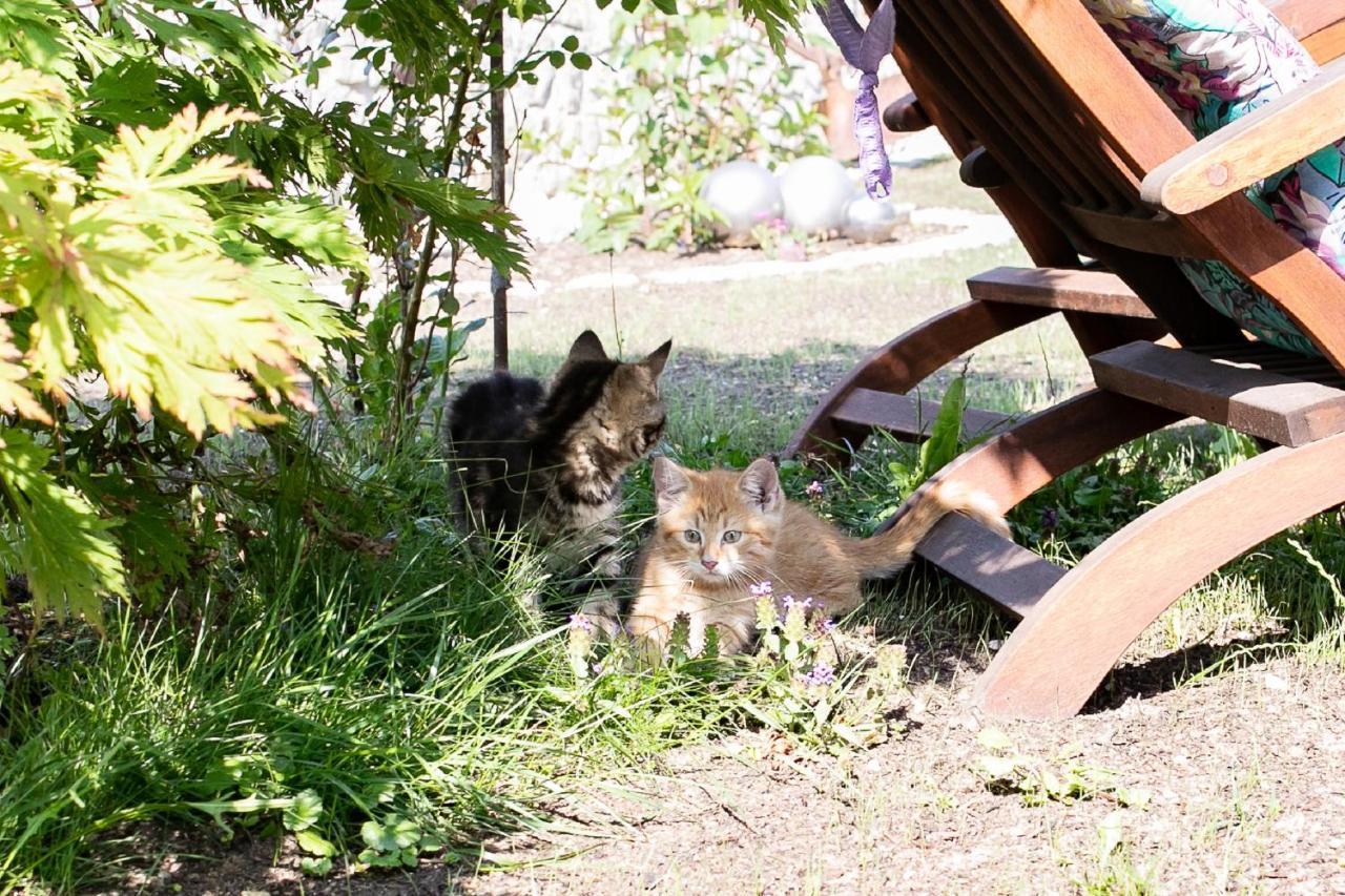 Ferienhof Naderhirn - Bauernhof Wegscheid Bagian luar foto